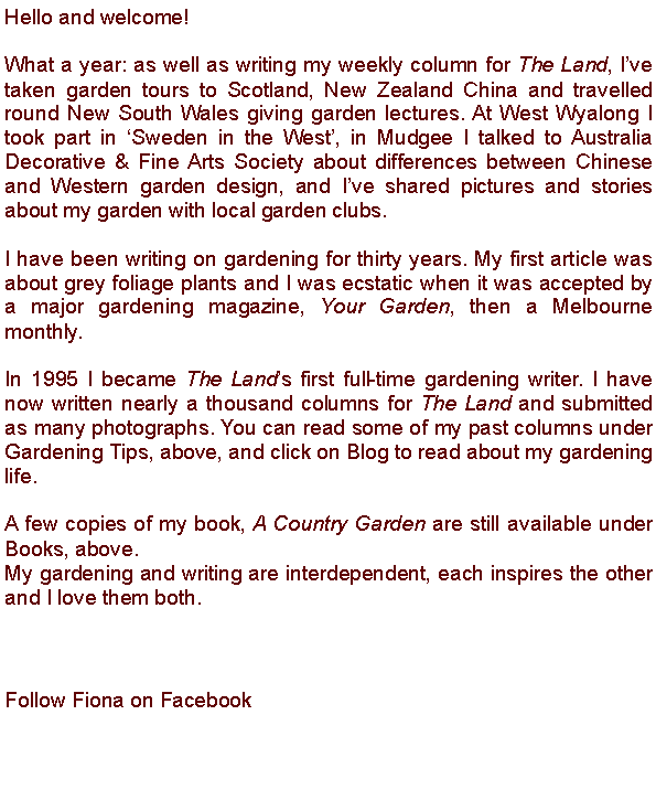 Text Box: Hello and welcome! What a year: as well as writing my weekly column for The Land, Ive taken garden tours to Scotland, New Zealand China and travelled round New South Wales giving garden lectures. At West Wyalong I took part in Sweden in the West, in Mudgee I talked to Australia Decorative & Fine Arts Society about differences between Chinese and Western garden design, and Ive shared pictures and stories about my garden with local garden clubs.I have been writing on gardening for thirty years. My first article was about grey foliage plants and I was ecstatic when it was accepted by a major gardening magazine, Your Garden, then a Melbourne monthly. In 1995 I became The Lands first full-time gardening writer. I have now written nearly a thousand columns for The Land and submitted as many photographs. You can read some of my past columns under Gardening Tips, above, and click on Blog to read about my gardening life.A few copies of my book, A Country Garden are still available under Books, above.My gardening and writing are interdependent, each inspires the other and I love them both.Follow Fiona on Facebook 